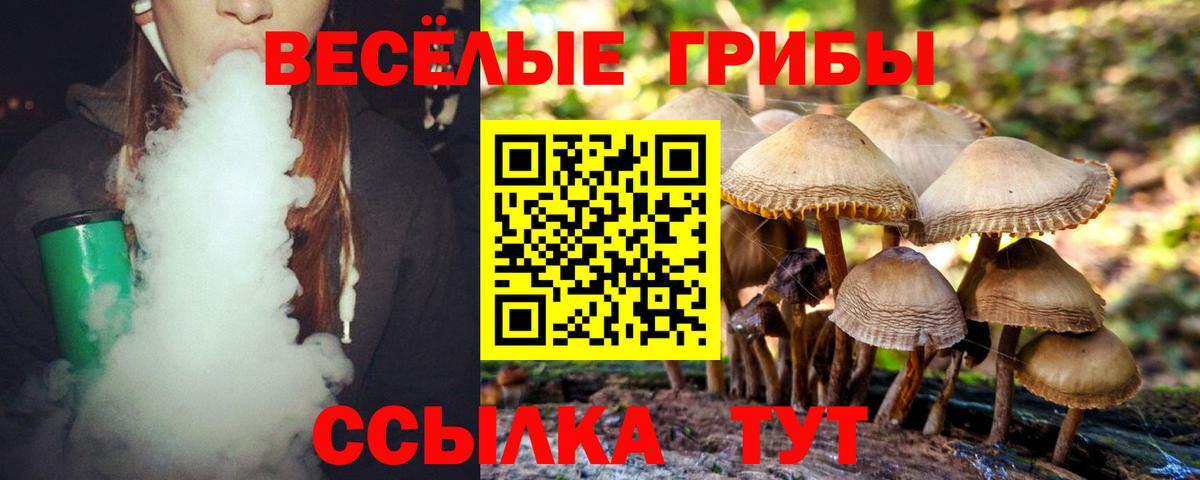 Майский  Галлюциногенные грибы прущие грибы  Вход с VPN  Галлюциногенные грибы Magic Shrooms 